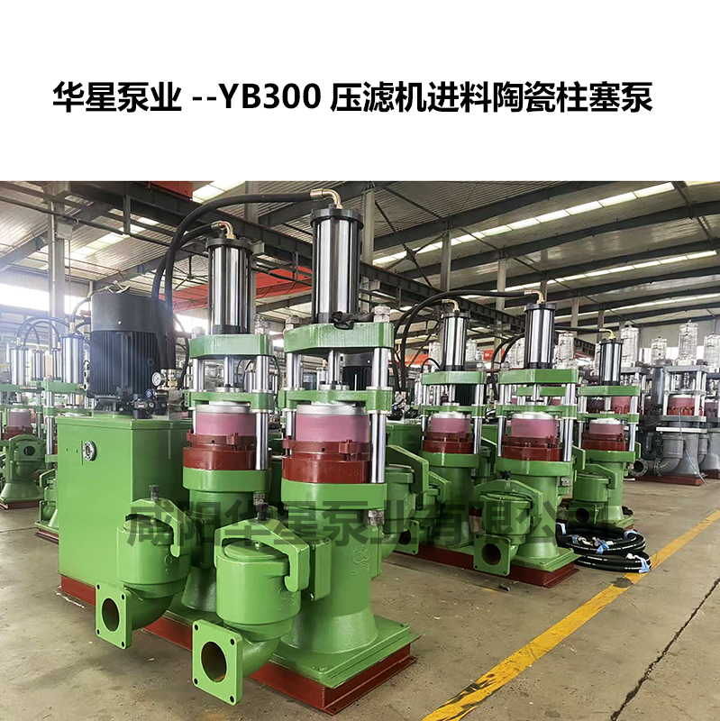 YB300壓濾機(jī)進(jìn)料陶瓷柱塞泵-02 YB300壓濾機(jī)進(jìn)料陶瓷柱塞泵-02